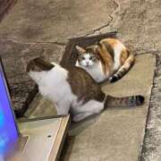 ヒメ日記 2025/10/03 06:00 投稿 黒美せいか 水戸ソープ アイドル彼女