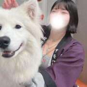 ヒメ日記 2025/10/12 06:21 投稿 黒美せいか 水戸ソープ アイドル彼女