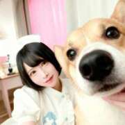 ヒメ日記 2025/11/08 10:49 投稿 黒美せいか 水戸ソープ アイドル彼女