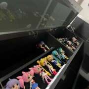 ヒメ日記 2025/11/15 07:19 投稿 黒美せいか 水戸ソープ アイドル彼女