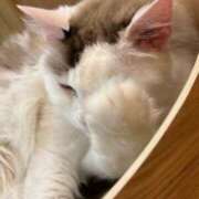 ヒメ日記 2025/11/30 09:18 投稿 黒美せいか 水戸ソープ アイドル彼女