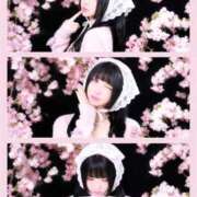 ヒメ日記 2026/03/30 08:08 投稿 黒美せいか 水戸ソープ アイドル彼女