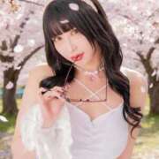 ヒメ日記 2026/04/01 06:00 投稿 黒美せいか 水戸ソープ アイドル彼女