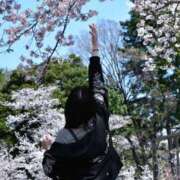 ヒメ日記 2026/04/04 15:03 投稿 黒美せいか 水戸ソープ アイドル彼女