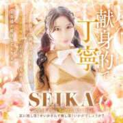 ヒメ日記 2026/09/22 11:57 投稿 黒美せいか 水戸ソープ アイドル彼女