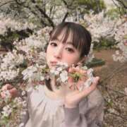 ヒメ日記 2025/04/12 11:03 投稿 しのぶ 奥様特急　池袋・大塚店