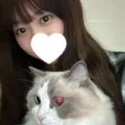 ヒメ日記 2025/10/15 20:09 投稿 天川つき Delice(デリス)上野店