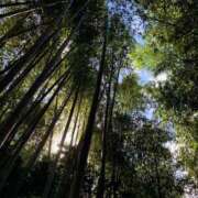 星 英美里 気分屋 東京貴楼館