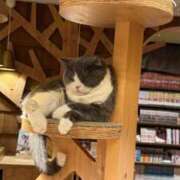 ヒメ日記 2025/10/11 22:29 投稿 宮内あい Delice(デリス)上野店