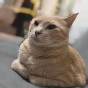 ヒメ日記 2025/10/15 20:40 投稿 宮内あい Delice(デリス)上野店