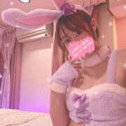 ヒメ日記 2025/04/13 15:19 投稿 アサミ SCREEN(スクリーン)