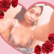 ヒメ日記 2025/06/30 12:02 投稿 ひばり シャトーペトラ