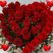 ヒメ日記 2025/04/17 12:25 投稿 みかこ(昭和43年生まれ) 熟年カップル名古屋～生電話からの営み～