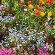 ヒメ日記 2025/04/21 08:30 投稿 みかこ(昭和43年生まれ) 熟年カップル名古屋～生電話からの営み～