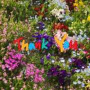 ヒメ日記 2025/04/21 19:52 投稿 みかこ(昭和43年生まれ) 熟年カップル名古屋～生電話からの営み～