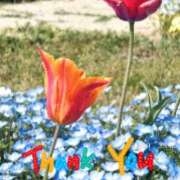 ヒメ日記 2025/04/28 19:47 投稿 みかこ(昭和43年生まれ) 熟年カップル名古屋～生電話からの営み～