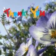 ヒメ日記 2025/05/08 15:42 投稿 みかこ(昭和43年生まれ) 熟年カップル名古屋～生電話からの営み～