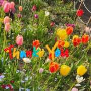 ヒメ日記 2025/05/09 17:13 投稿 みかこ(昭和43年生まれ) 熟年カップル名古屋～生電話からの営み～