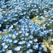 ヒメ日記 2025/05/10 15:15 投稿 みかこ(昭和43年生まれ) 熟年カップル名古屋～生電話からの営み～