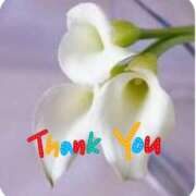 ヒメ日記 2025/05/24 19:31 投稿 みかこ(昭和43年生まれ) 熟年カップル名古屋～生電話からの営み～