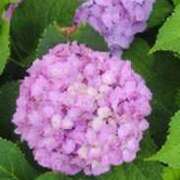 ヒメ日記 2025/06/12 08:23 投稿 みかこ(昭和43年生まれ) 熟年カップル名古屋～生電話からの営み～