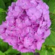 ヒメ日記 2025/06/19 21:40 投稿 みかこ(昭和43年生まれ) 熟年カップル名古屋～生電話からの営み～