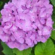 ヒメ日記 2025/06/21 14:05 投稿 みかこ(昭和43年生まれ) 熟年カップル名古屋～生電話からの営み～