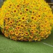 ヒメ日記 2025/07/18 11:54 投稿 みかこ(昭和43年生まれ) 熟年カップル名古屋～生電話からの営み～