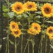 ヒメ日記 2025/07/26 16:23 投稿 みかこ(昭和43年生まれ) 熟年カップル名古屋～生電話からの営み～