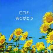 ヒメ日記 2025/08/03 10:19 投稿 みかこ(昭和43年生まれ) 熟年カップル名古屋～生電話からの営み～