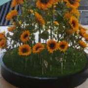 ヒメ日記 2025/08/28 13:32 投稿 みかこ(昭和43年生まれ) 熟年カップル名古屋～生電話からの営み～