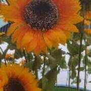 ヒメ日記 2025/09/01 15:34 投稿 みかこ(昭和43年生まれ) 熟年カップル名古屋～生電話からの営み～