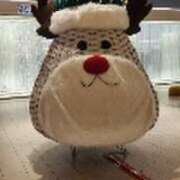 ヒメ日記 2025/12/01 14:30 投稿 みかこ(昭和43年生まれ) 熟年カップル名古屋～生電話からの営み～