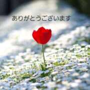 ヒメ日記 2025/12/20 19:42 投稿 みかこ(昭和43年生まれ) 熟年カップル名古屋～生電話からの営み～