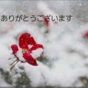 ヒメ日記 2025/12/20 19:59 投稿 みかこ(昭和43年生まれ) 熟年カップル名古屋～生電話からの営み～