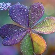 ヒメ日記 2026/03/17 15:50 投稿 みかこ(昭和43年生まれ) 熟年カップル名古屋～生電話からの営み～