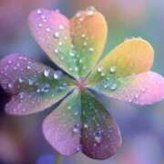 ヒメ日記 2026/03/23 20:14 投稿 みかこ(昭和43年生まれ) 熟年カップル名古屋～生電話からの営み～