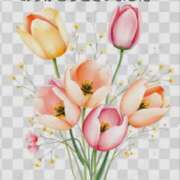 ヒメ日記 2026/03/24 14:10 投稿 みかこ(昭和43年生まれ) 熟年カップル名古屋～生電話からの営み～