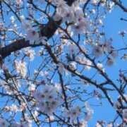 ヒメ日記 2026/03/27 07:37 投稿 みかこ(昭和43年生まれ) 熟年カップル名古屋～生電話からの営み～