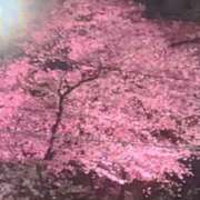 ヒメ日記 2026/04/05 18:38 投稿 みかこ(昭和43年生まれ) 熟年カップル名古屋～生電話からの営み～