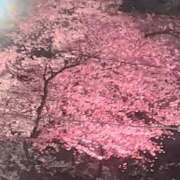 ヒメ日記 2026/04/06 15:04 投稿 みかこ(昭和43年生まれ) 熟年カップル名古屋～生電話からの営み～