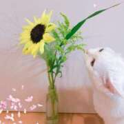 ヒメ日記 2025/05/31 13:05 投稿 さよこ 性腺熟女100％鶯谷（デリヘル市場）