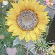 ヒメ日記 2025/06/02 23:35 投稿 さよこ 性腺熟女100％鶯谷（デリヘル市場）