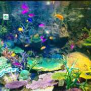 ヒメ日記 2025/06/21 14:30 投稿 さよこ 性腺熟女100％鶯谷（デリヘル市場）