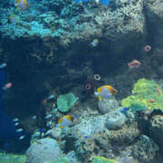 ヒメ日記 2025/09/06 01:20 投稿 さよこ 性腺熟女100％鶯谷（デリヘル市場）