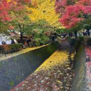 ヒメ日記 2025/11/11 23:55 投稿 さよこ 性腺熟女100％鶯谷（デリヘル市場）