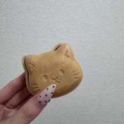 桃花/ももか　centu ネコチャン STYLISH BACH