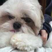 ヒメ日記 2026/03/14 09:25 投稿 桃花/ももか　centu STYLISH BACH