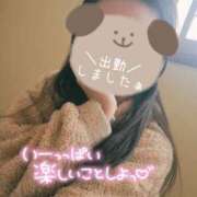 ヒメ日記 2025/04/15 10:48 投稿 ひすい サンキュー福岡店