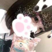 ヒメ日記 2025/06/04 12:20 投稿 ちひろ ビデオdeはんど すすきの校